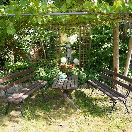 Dwie Podkowy Farm stay