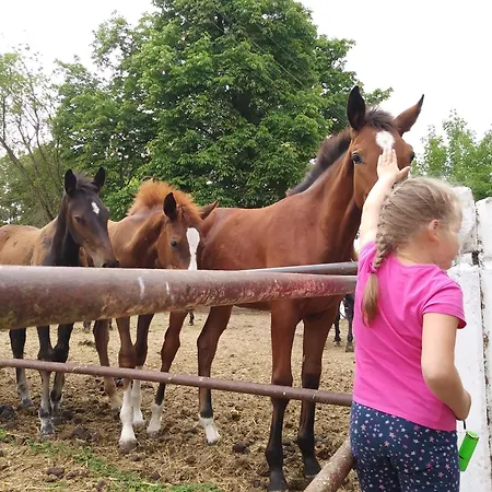 Dwie Podkowy * Trzebiatow nad Rega