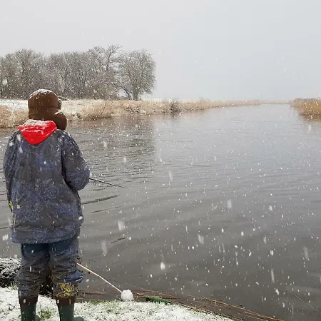 Dwie Podkowy Farm stay *